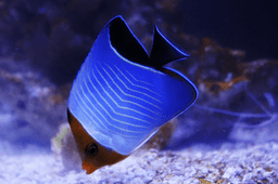 김형진 프로필 이미지